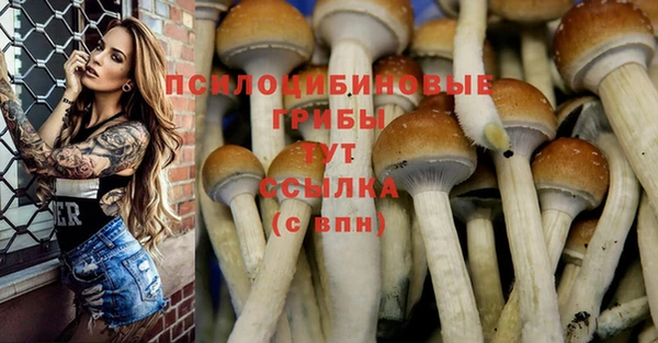 шишки Алзамай