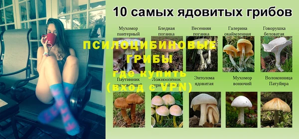 шишки Алзамай