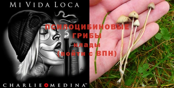 спайс Абинск