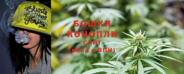 шишки Алзамай