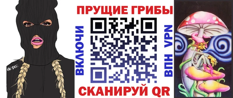 ОМГ ОМГ вход  Почеп  Псилоцибиновые грибы мухоморы 